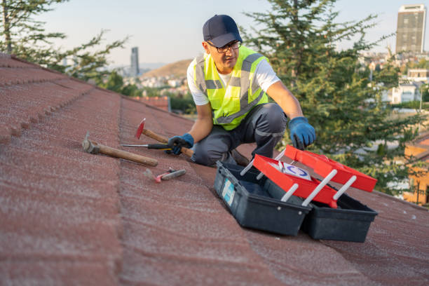 Best Insulated Siding Installation  in Olympia Heights, FL