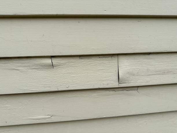 How To Choose The Right Materials for Your Siding Installation in 'Olympia Heights, FL